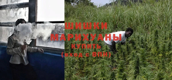 амф Мегион
