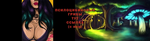 амф Мегион