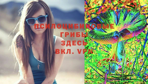бошки Медвежьегорск