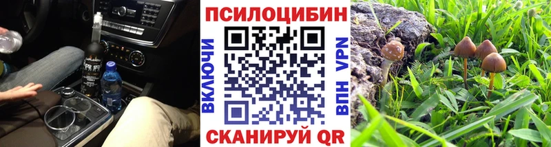 Галлюциногенные грибы Cubensis  как найти закладки  Невель 